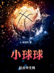 双面球狂