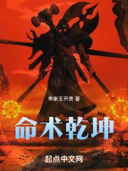 命术乾坤